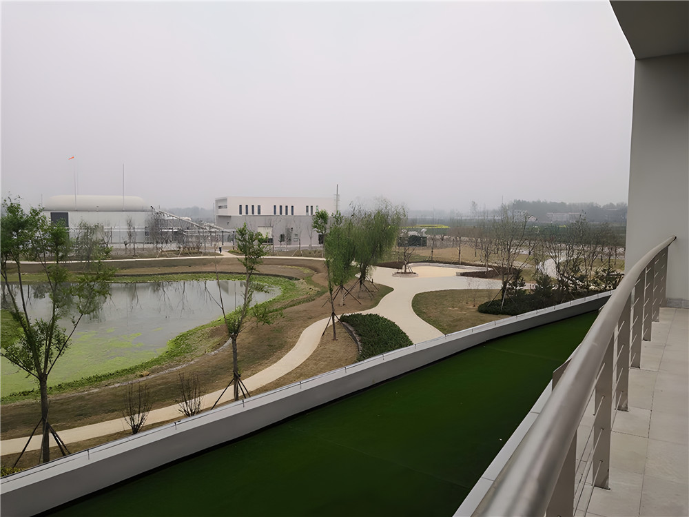 復(fù)合碳源是什么？