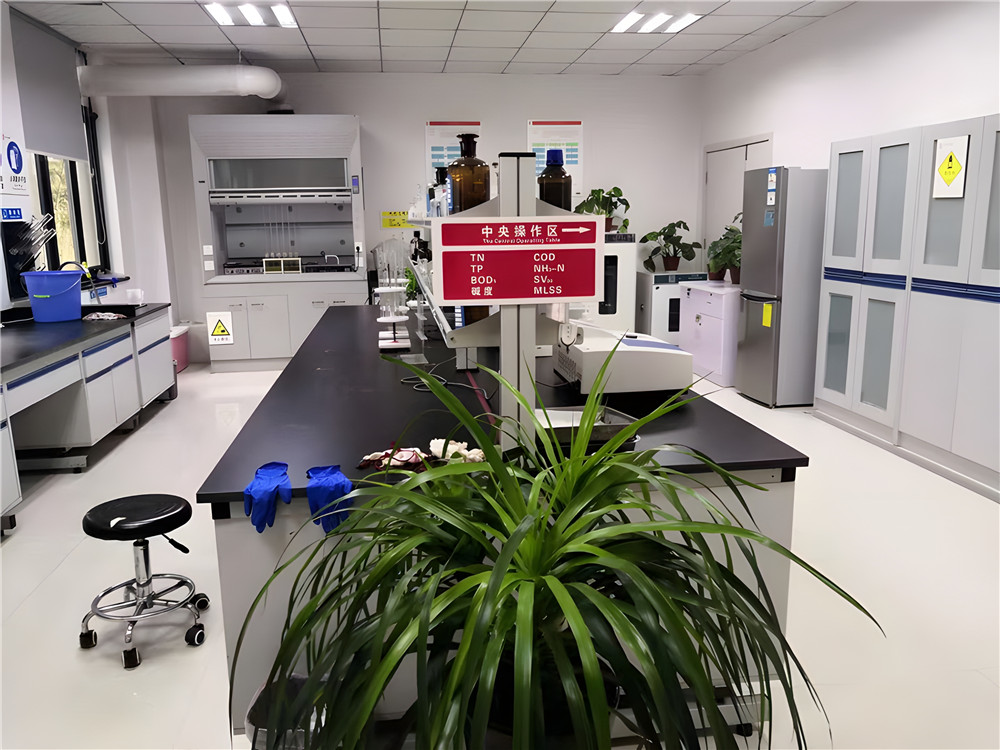 步履堅定，共繪高質(zhì)量發(fā)展新篇章