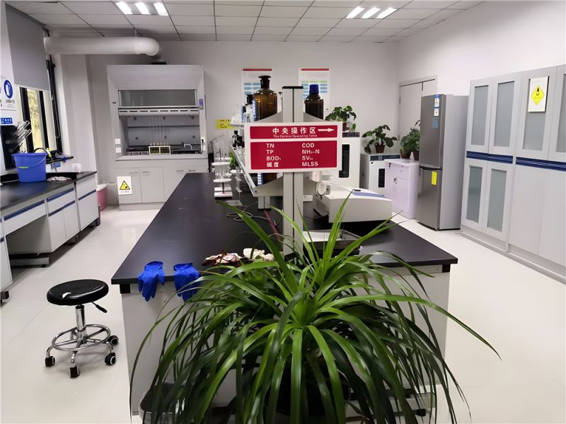 步履堅定，共繪高質(zhì)量發(fā)展新篇章